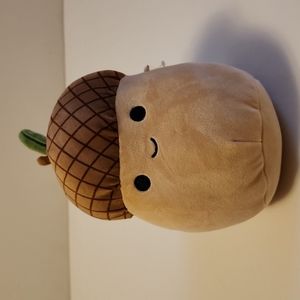 Brand new Squishmallows  Mac thr Acorn Pillow